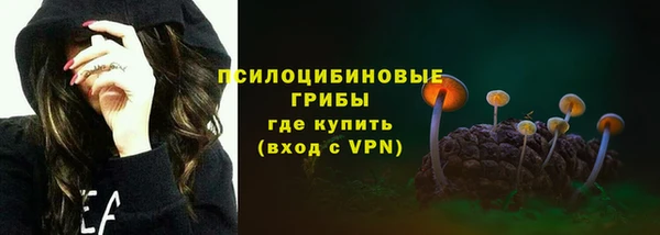 прущие крисы Арсеньев
