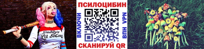ссылка на мегу ссылка  Краснодар  Галлюциногенные грибы MAGIC MUSHROOMS 